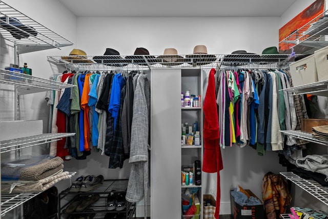 view of spacious closet