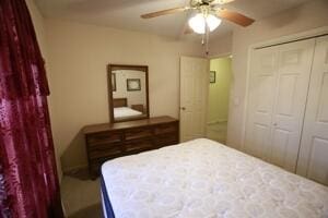 bedroom featuring a closet and a ceiling fan