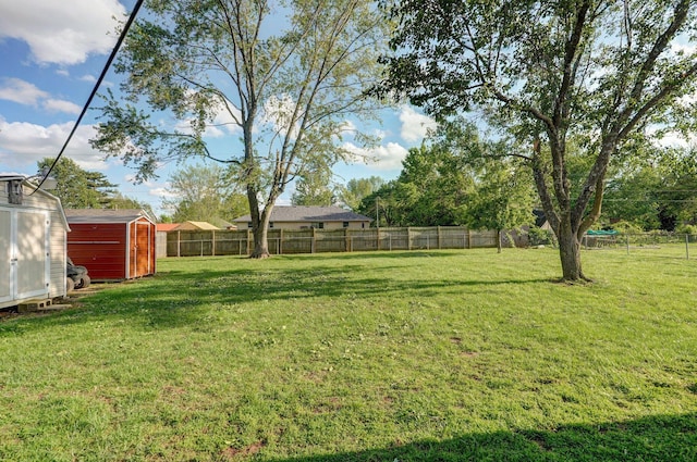 view of yard with a shed and an outbuilding