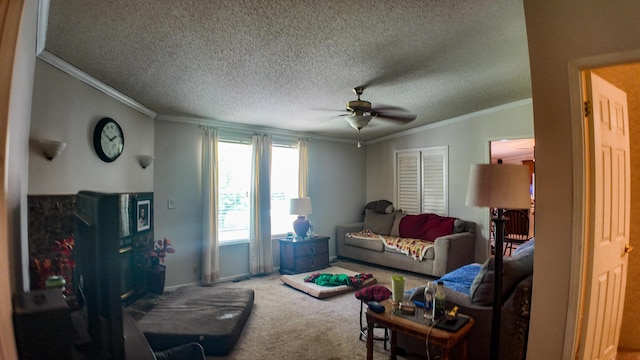 1156 SE 180th Rd, Clinton, MO 64735 - living area with carpet floors, a ceiling fan, ornamental molding, a textured ceiling, and baseboards