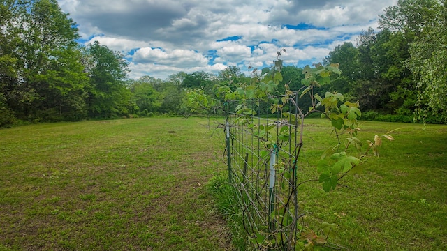1156 SE 180th Rd, Clinton, MO 64735 - view of green lawn