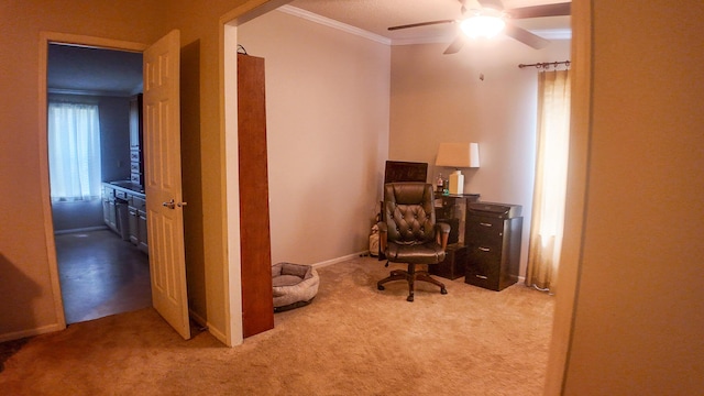 1156 SE 180th Rd, Clinton, MO 64735 - home office with crown molding, carpet floors, ceiling fan, and baseboards
