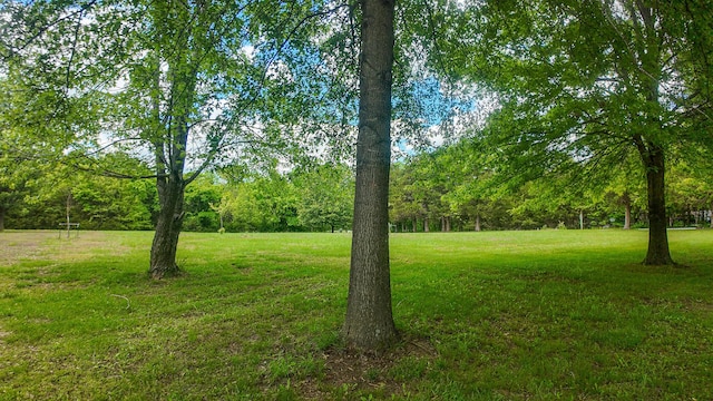1156 SE 180th Rd, Clinton, MO 64735 - view of green lawn