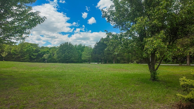 1156 SE 180th Rd, Clinton, MO 64735 - view of grassy yard