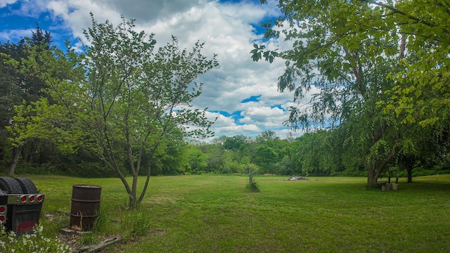 1156 SE 180th Rd, Clinton, MO 64735 - view of grassy yard