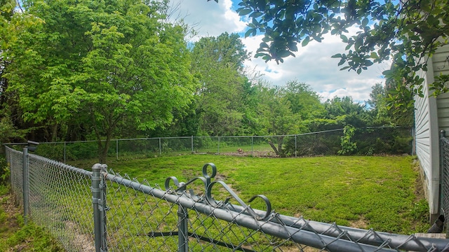 1156 SE 180th Rd, Clinton, MO 64735 - view of yard