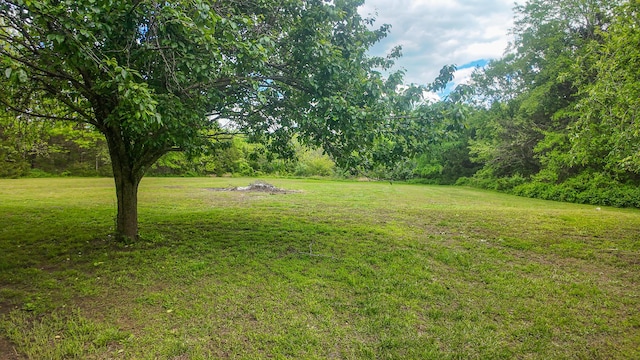 1156 SE 180th Rd, Clinton, MO 64735 - view of grassy yard