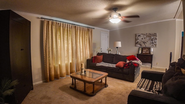 1156 SE 180th Rd, Clinton, MO 64735 - living room with crown molding, light colored carpet, a ceiling fan, baseboards, and a textured ceiling