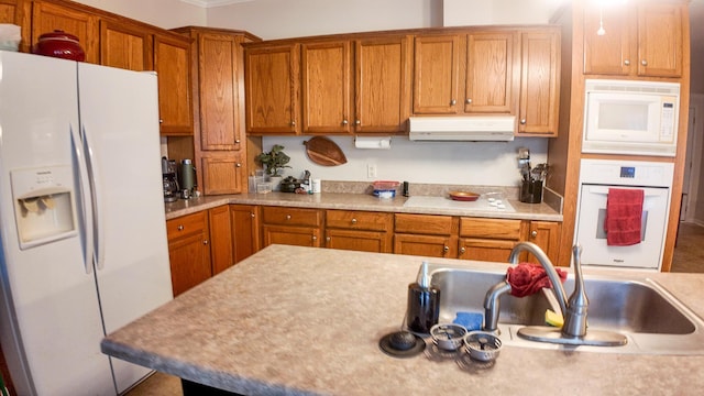 1156 SE 180th Rd, Clinton, MO 64735 - kitchen with white appliances, under cabinet range hood, and light countertops