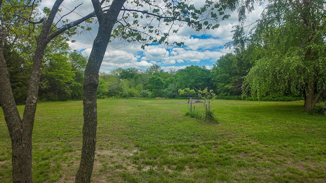 1156 SE 180th Rd, Clinton, MO 64735 - view of green lawn