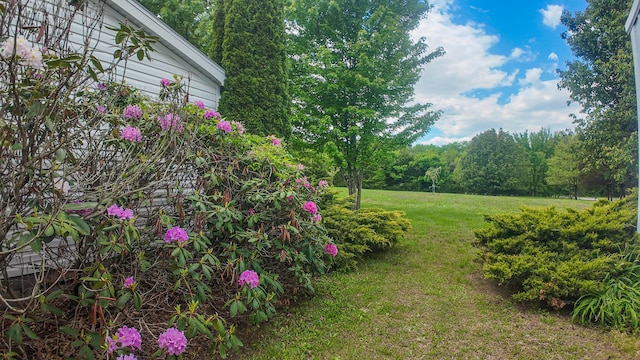 1156 SE 180th Rd, Clinton, MO 64735 - view of grassy yard