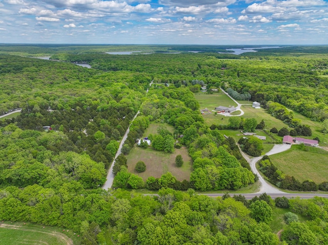 1156 SE 180th Rd, Clinton, MO 64735 - bird's eye view of a heavily wooded area