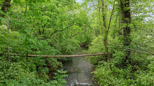 view of tree filled area
