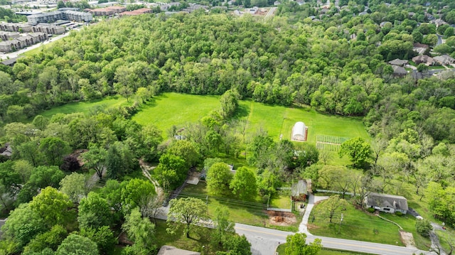 drone / aerial view of a forest