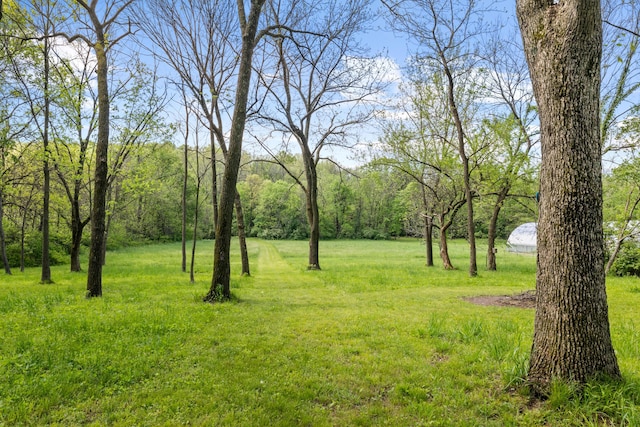 view of grassy yard