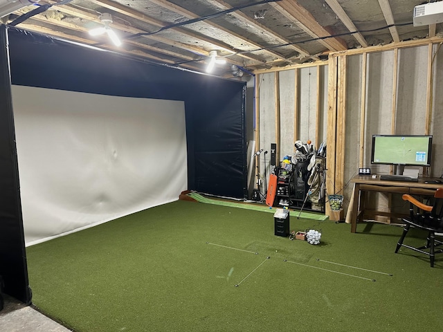 below grade area with carpet