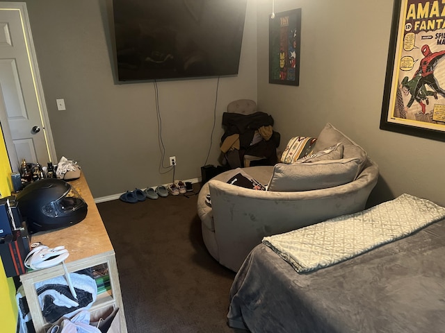 156 Southern Cross Dr, Clever, MO 65631 - view of carpeted bedroom