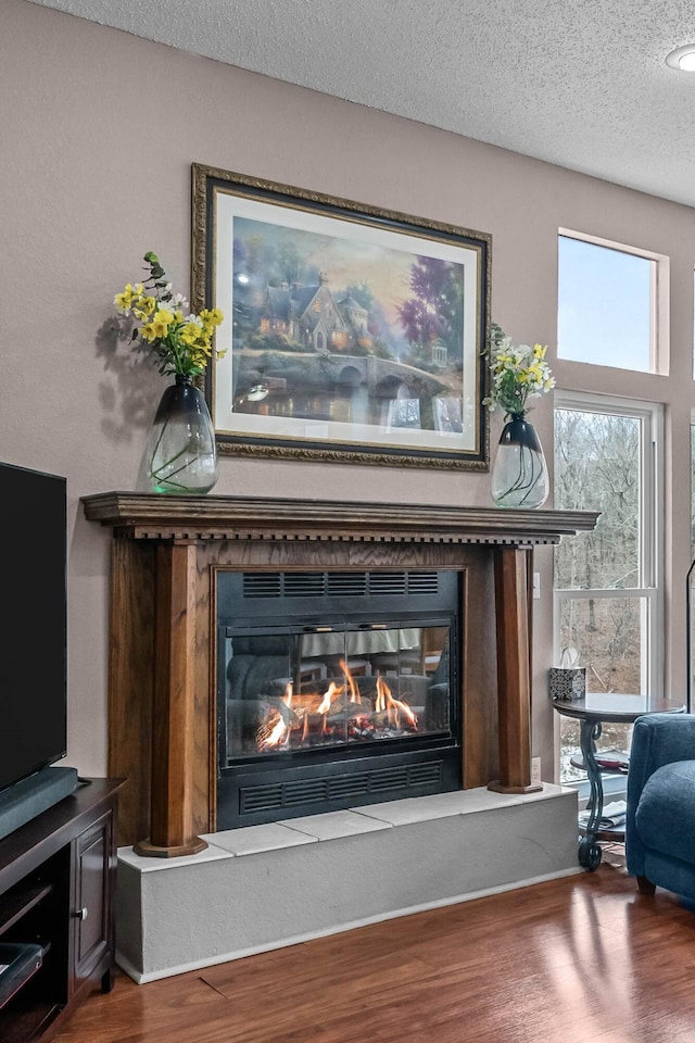 70 Roseville Dr, Rogersville, MO 65742 - detailed view of a glass covered fireplace, wood finished floors, and a textured ceiling