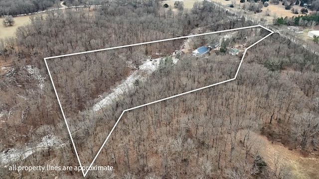 70 Roseville Dr, Rogersville, MO 65742 - aerial overview of property's location with property parcel outlined and a forest