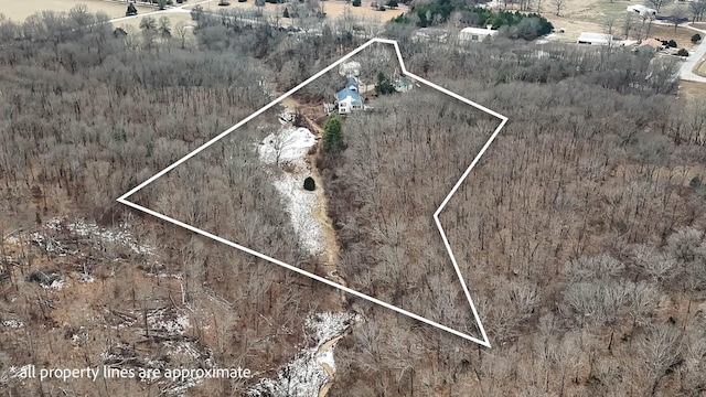 70 Roseville Dr, Rogersville, MO 65742 - aerial view of property and surrounding area featuring property parcel outlined