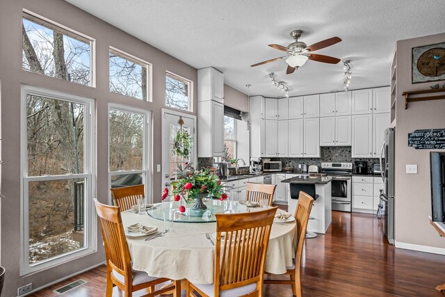 70 Roseville Dr, Rogersville, MO 65742 - dining area featuring track lighting, dark wood-style floors, a ceiling fan, a textured ceiling, and baseboards