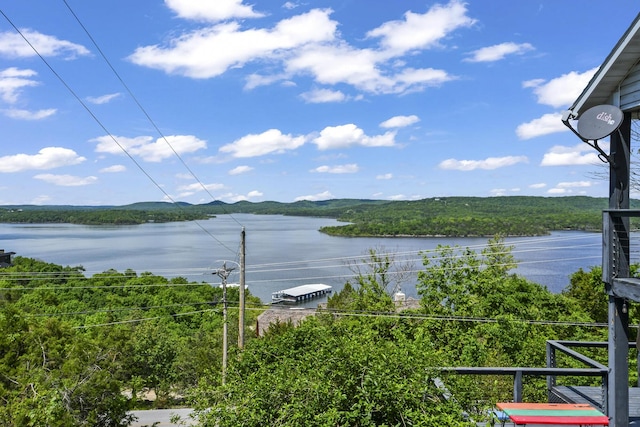 147 Liberty Ln, Kimberling City, MO 65686 - water view