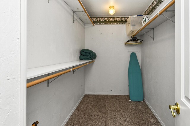 147 Liberty Ln, Kimberling City, MO 65686 - walk in closet with carpet flooring