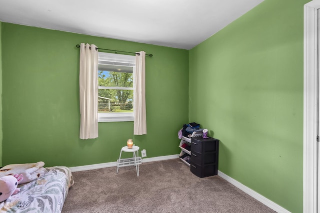 2875 S Madison Ave, Aurora, MO 65605 - photo 17