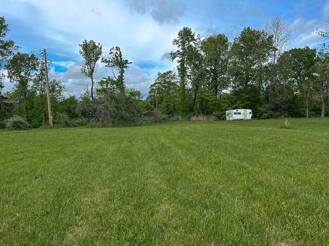 468 Martingale Dr, Theodosia, MO 65761 - view of green lawn