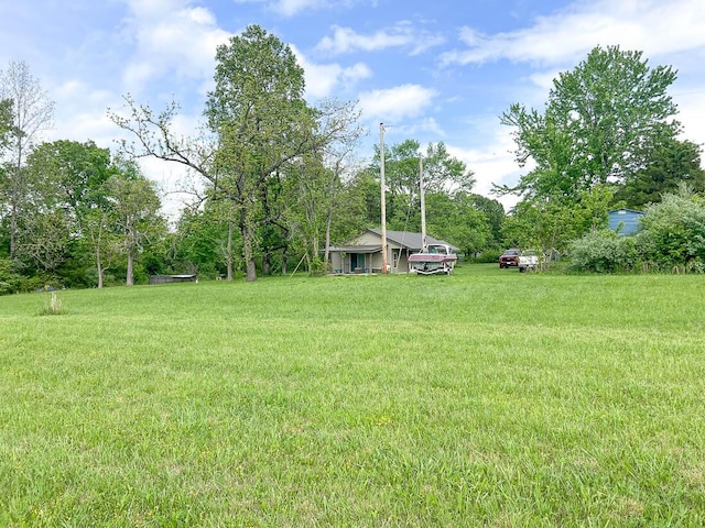 468 Martingale Dr, Theodosia, MO 65761 - view of grassy yard