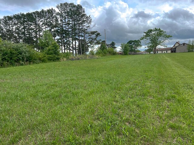 468 Martingale Dr, Theodosia, MO 65761 - view of grassy yard