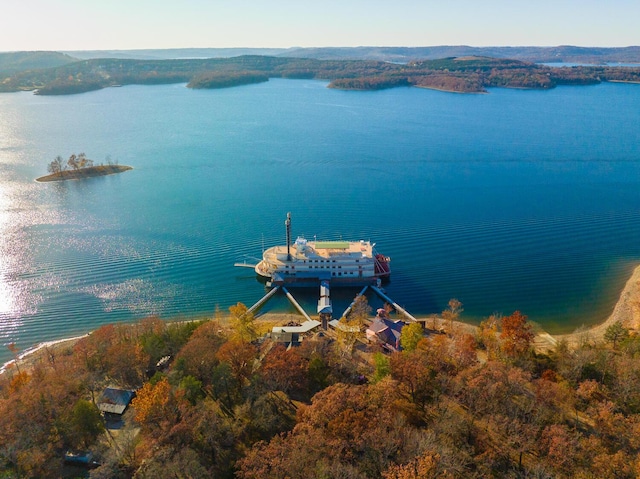 drone / aerial view of a large body of water