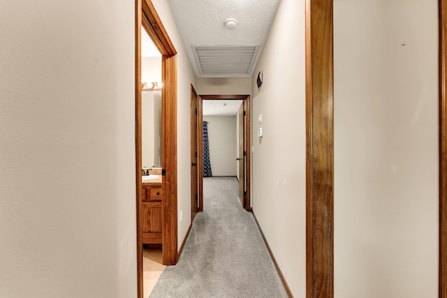 3742 W Village Ter, Springfield, MO 65810 - hall with light carpet, a sink, baseboards, and a textured ceiling