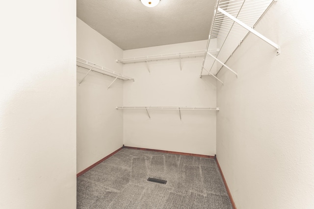 3742 W Village Ter, Springfield, MO 65810 - spacious closet featuring carpet floors