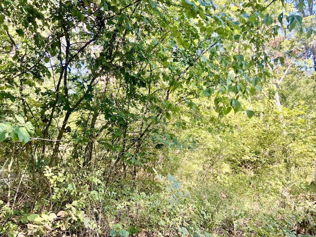 000 N Dade 173, Greenfield, MO 65661