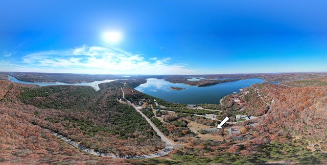 aerial view of a large body of water and a forest
