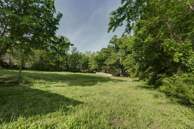 411 S 3rd St, Branson, MO 65616 - photo 11