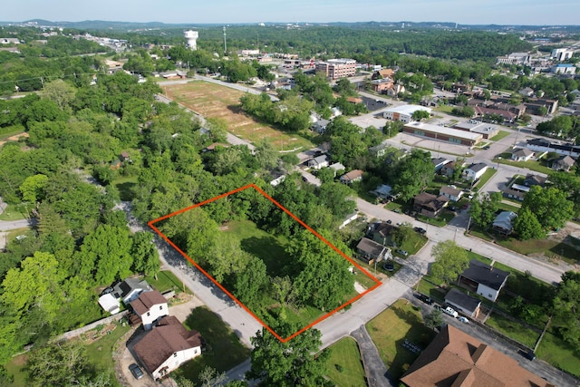 411 S 3rd St, Branson, MO 65616 - photo 16