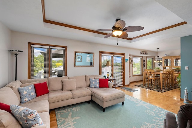 814 Barwick Pl, Willard, MO 65781 - photo 7