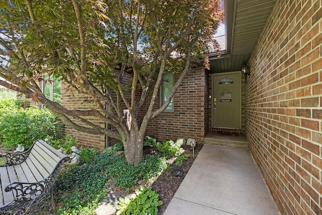 814 Barwick Pl, Willard, MO 65781 - photo 3