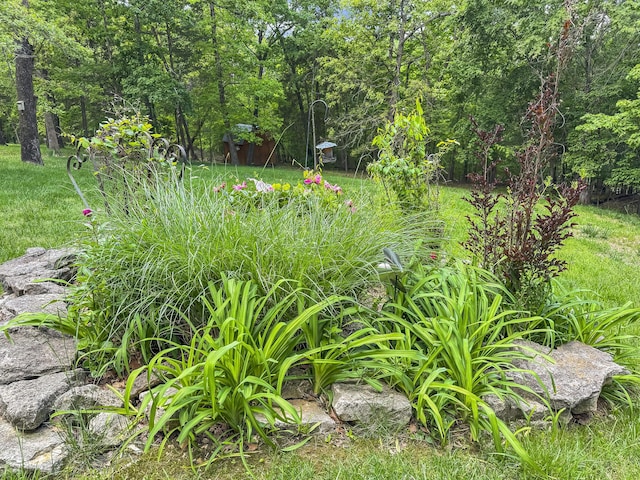 138 Canyon Forest Cir, Kimberling City, MO 65686 - view of yard