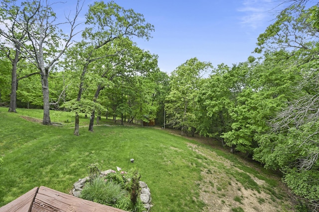 138 Canyon Forest Cir, Kimberling City, MO 65686 - view of green lawn