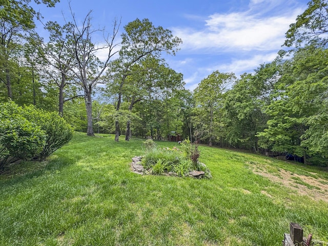 138 Canyon Forest Cir, Kimberling City, MO 65686 - view of green lawn featuring a view of trees