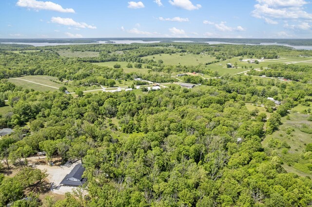 drone / aerial view of a forest