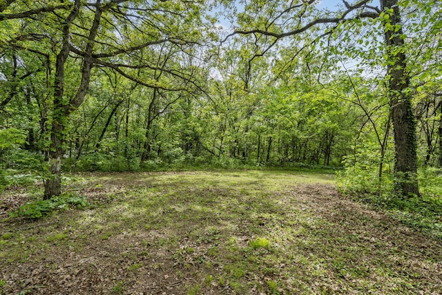 view of yard with a forest view