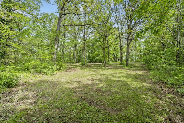 view of yard featuring a forest view