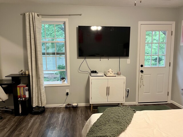 bedroom with multiple windows, baseboards, and dark wood-style flooring
