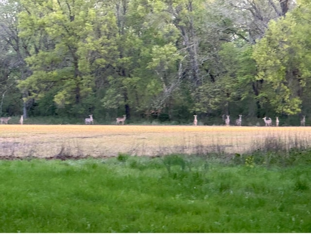 3701 S 1500th Rd, Rich Hill, MO 64779 - view of wooded area