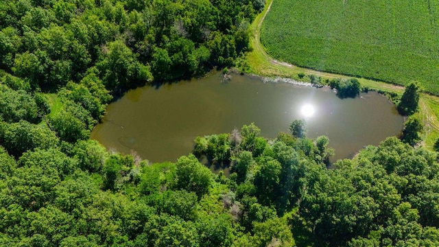 3701 S 1500th Rd, Rich Hill, MO 64779 - aerial view of a large body of water