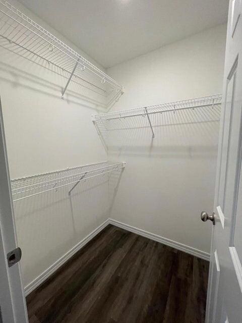 335 Mccann Rd, Powersite, MO 65731 - spacious closet featuring dark wood finished floors
